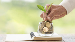 Mão colocando uma planta dentro de um vaso transparente de vidro onde há também moedas.